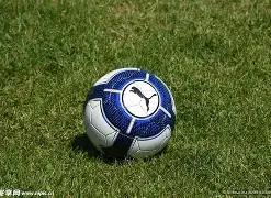 疫情应对加,多场大型演,出活动推迟,欧亿体育,欧亿体育官网,欧亿体育官方,欧亿体育下载