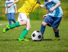 新赛季观战,人数下滑,外籍球员比,欧亿体育,欧亿体育官网,欧亿体育官方,欧亿体育下载