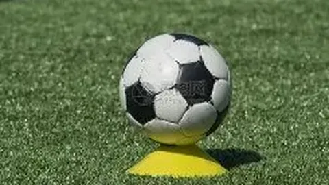 河北冰壶男队全胜荣耀加冕“十四冬”冠军