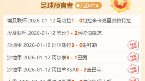 2025年F1澳大利亚站赛车高清图鉴